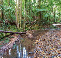 Ulidarra National Park - Australia Accommodation