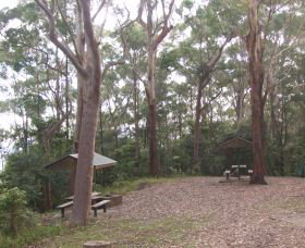 Orara East State Forest - Australia Accommodation 2