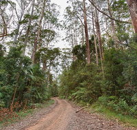 End Peak walking track - Australia Accommodation