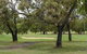 Capel Golf Club - thumb 1