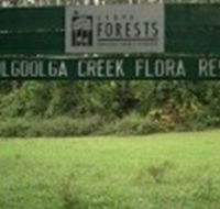 Woolgoolga Creek Flora Reserve - Australia Accommodation