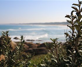 Cape Conran Coastal Park - Australia Accommodation 0