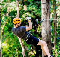 TreeTop Challenge Currumbin - Australia Accommodation