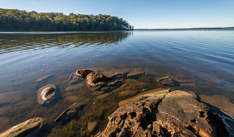 Queens Lake Nature Reserve - Australia Accommodation 0