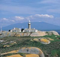 Montague Island Nature Reserve - Australia Accommodation