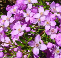 Broadwater National Park - Australia Accommodation