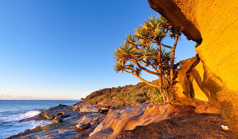 Angourie To Brooms Head - Australia Accommodation 1