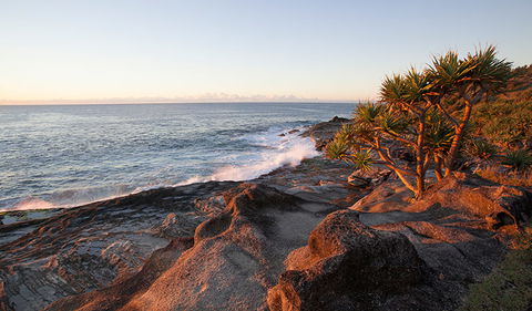 Angourie To Brooms Head - Australia Accommodation 2