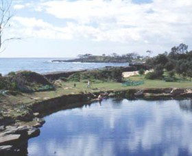 Angourie Blue Pool - Australia Accommodation 1
