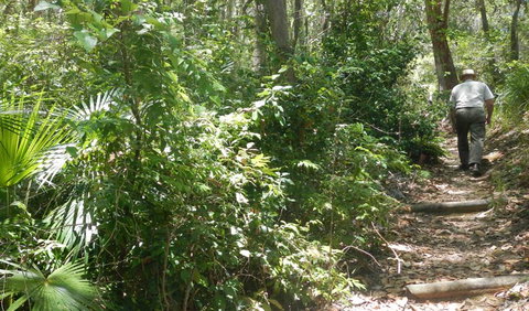 Bridle Trail - Australia Accommodation 0