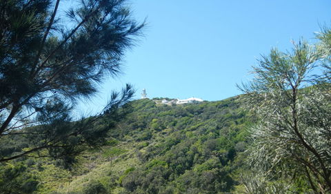 Jack Perkins Walking Track - Australia Accommodation 3