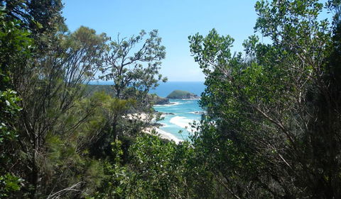 Jack Perkins Walking Track - Australia Accommodation 1