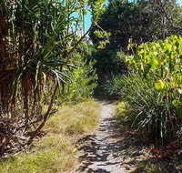 North Head walking track - Australia Accommodation