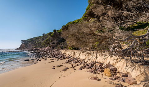 Terrace Beach And Lennards Island - Australia Accommodation 2