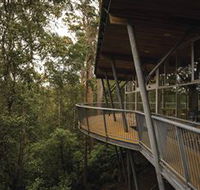 Tarkine Forest Adventures - Dismal Swamp - Australia Accommodation