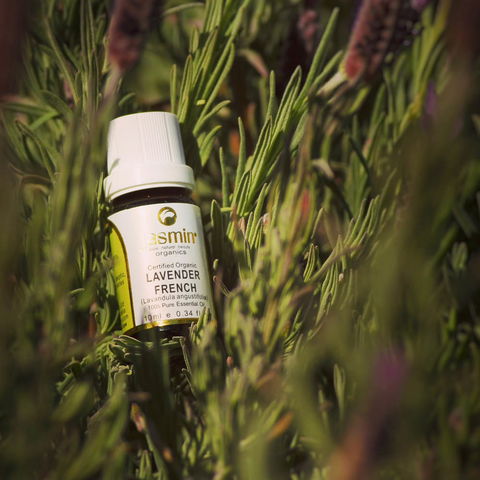 Jasmin Organics Skincare Farm And Factory - Australia Accommodation 7