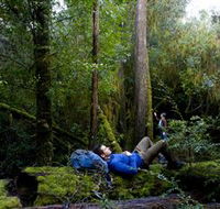 The Tarkine Drive - Australia Accommodation