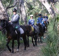 Mirravale Horse Riding School - Australia Accommodation