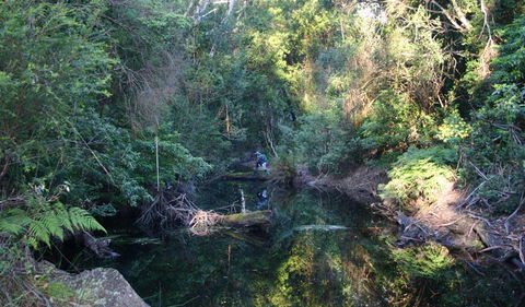Nadgee Nature Reserve - Australia Accommodation 2