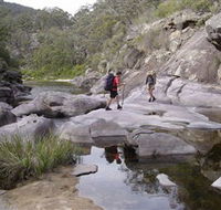 Nadgee Wilderness Walk - Australia Accommodation