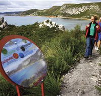 Rocky Cape National Park - Australia Accommodation