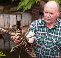 Lobster Ponds - Australia Accommodation