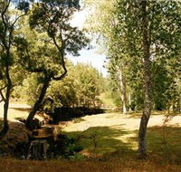 Oldina Picnic Area - Australia Accommodation