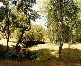 Oldina Picnic Area - Australia Accommodation 0
