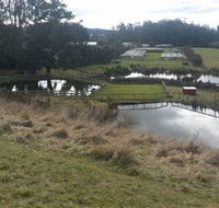 Guide Falls Farm - Australia Accommodation