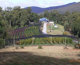 North Motton TAS Australia Accommodation