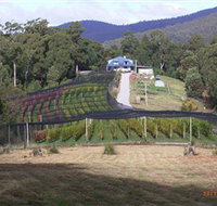 Motton Terraces - Australia Accommodation