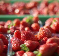 Turners Beach Berry Patch - Australia Accommodation