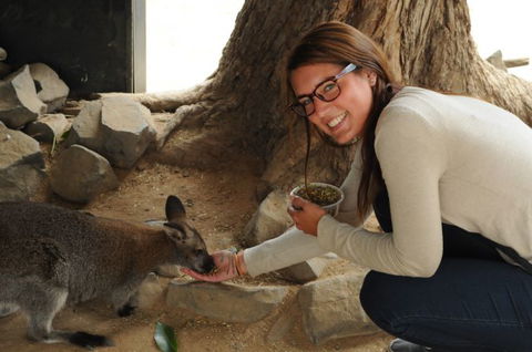 Autopia Tours - Australia Accommodation 6
