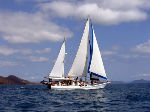 Adventure, Cruise, Dive And Outer Reef - Whitsundays Sailing Adventures - Australia Accommodation 4