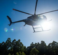 Tall Timbers Adventure Tours - Australia Accommodation