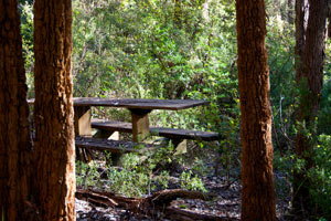Karrak Reach Forest Retreat - Australia Accommodation 1