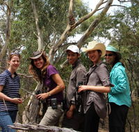Echidna Walkabout Nature Tours - Australia Accommodation