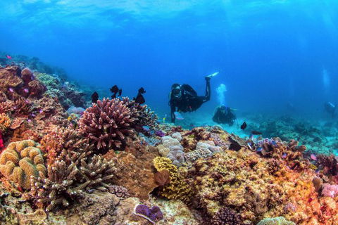 Sunreef Mooloolaba - Australia Accommodation 8