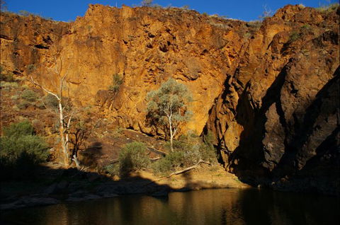 Aussie Heritage Tours - Australia Accommodation 7