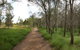 Billai Dhagun Circuit (Place Of She-Oaks) - thumb 0