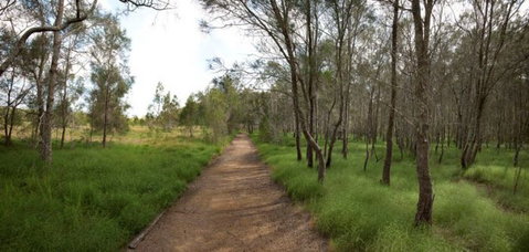 Billai Dhagun Circuit (Place Of She-Oaks) - Australia Accommodation 0