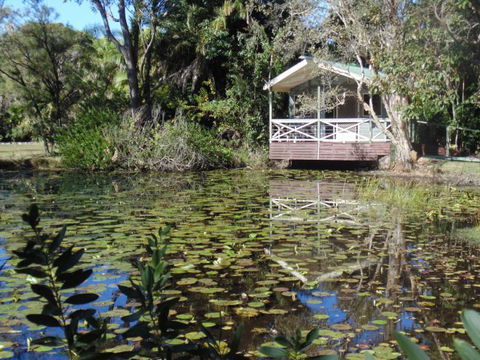 Darlington Beach NRMA Holiday Park - Australia Accommodation 5