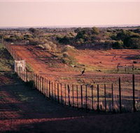 Tri State Safaris - Australia Accommodation