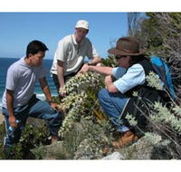 Sapphire Coast Ecotours - Australia Accommodation