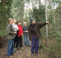 Great Western Tiers Forest Walks Tasmania - Australia Accommodation