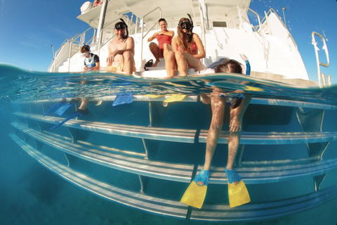 Australian Sunset Safaris - Australia Accommodation 9