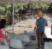 Whitsunday Crocodile Safari - Australia Accommodation