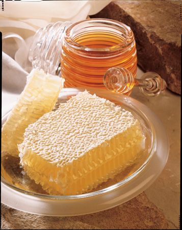 The Honey Place - Australia Accommodation 1