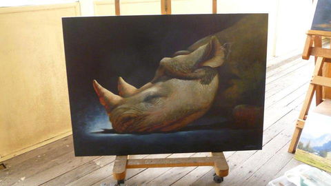 Art On Pallas - Australia Accommodation 0