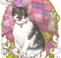 Art Hive Artist - Australia Accommodation